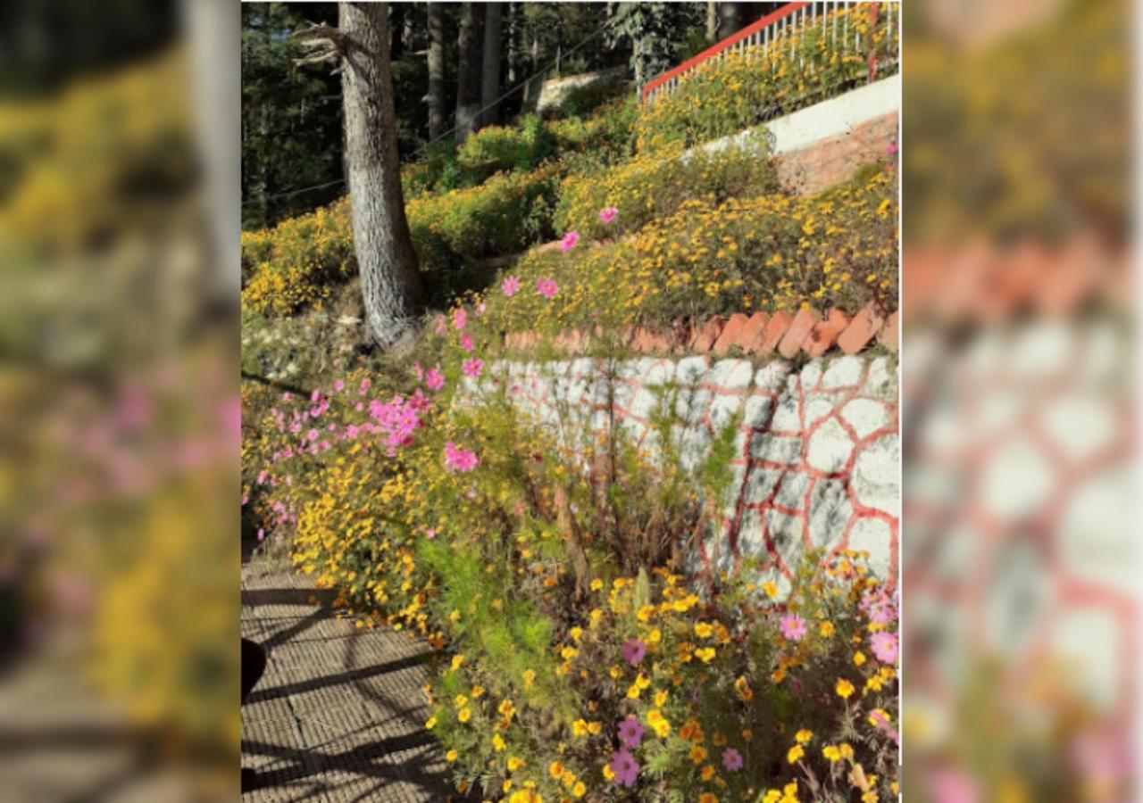 Hotel Country Resort Khajjiar Экстерьер фото